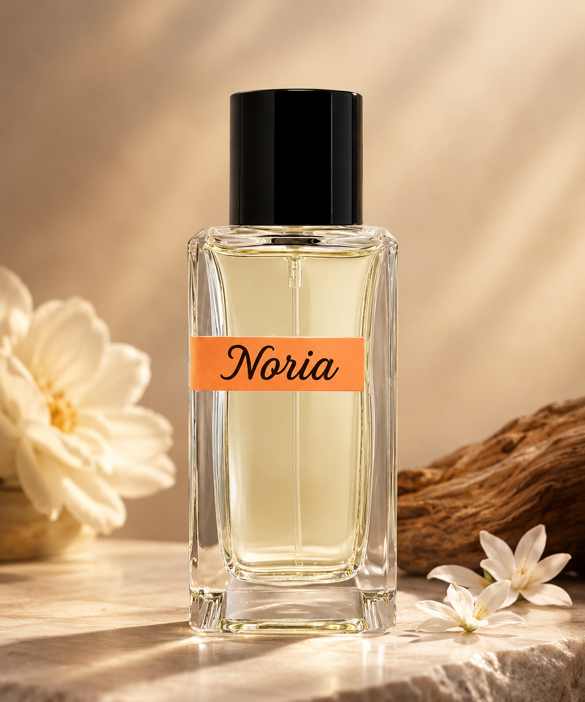 Noria